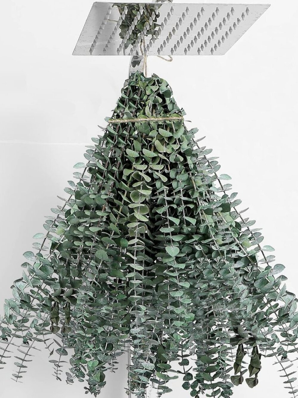 30 Pcs Dried Eucalyptus Stems 17" Real Eucalyptus for Shower Hanging DIY Decor